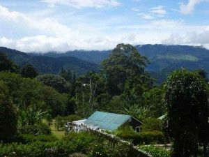 CHIRIQUI DOS