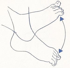 rhbmi.26