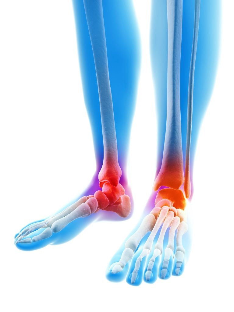 Ankle