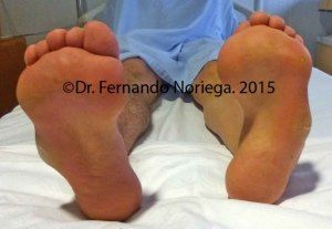 MA GIL1 copia