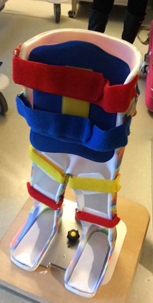 BIPEDESTADOR